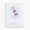 Art Print - Botanical Rosemary